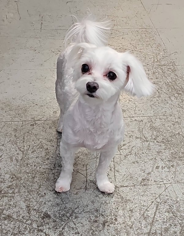 white on floor-c